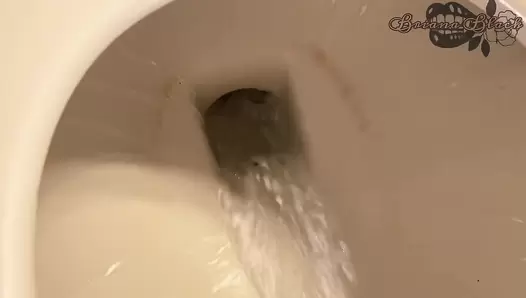 BW Going To Bathroom On Toilet Compilation, JAV Collection, 