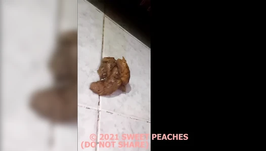 Sweet_Peaches - I SHIT MUCH (SWEET-PEACHES)