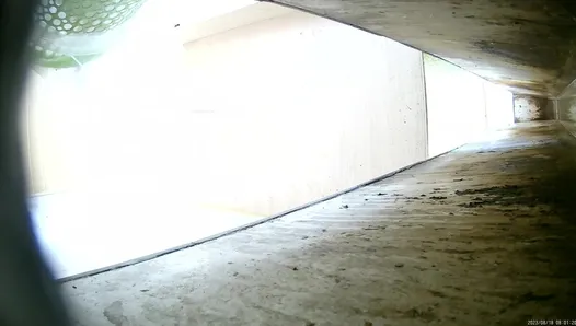 New work from the ditch toilet August 23