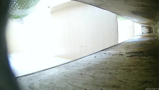 New work from the ditch toilet August 23