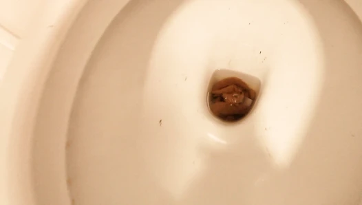 DemonaDragon - Post Thanksgiving Shit