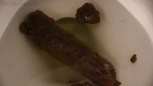 DirtyMaryan - Morning turd sniffing toilet paper and my asshole is burning