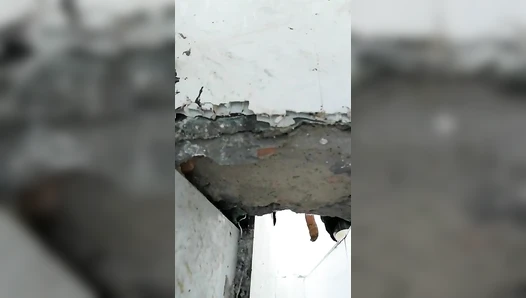 The hospital held a ditch toilet 6