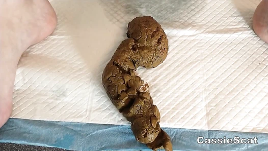 CassieScat - 3 Clips with Erotic Pooping and Pretty Feet