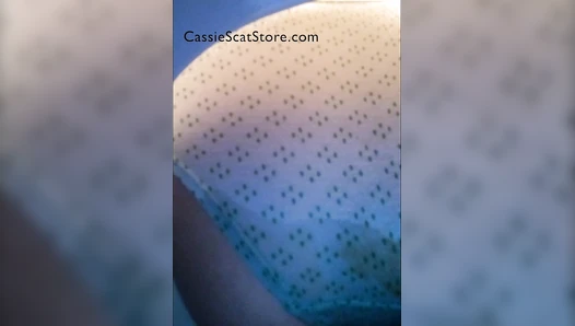 CassieScat - Accident in Panties, Tentative Play (Toilet POV)