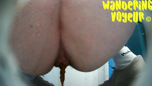 New Bio Toilet 1479K, Wandering Voyeur, 