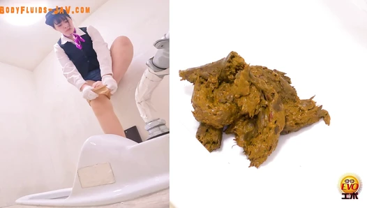 BFEE-301 Long Shit on Western and Japanese Style Toilets
