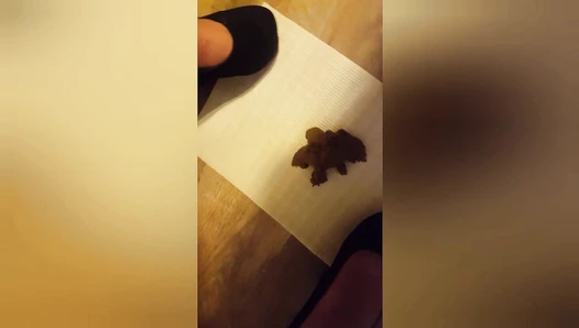 PottyQueen - Poo a soft meal