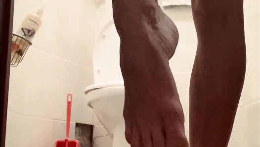 Lily - shit in the cat litter