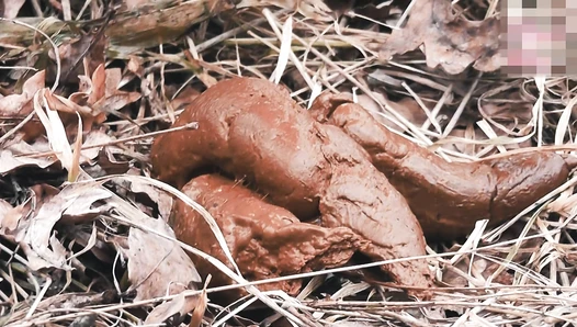 MiaRoxxx - 57. HUGE turd in cold forest