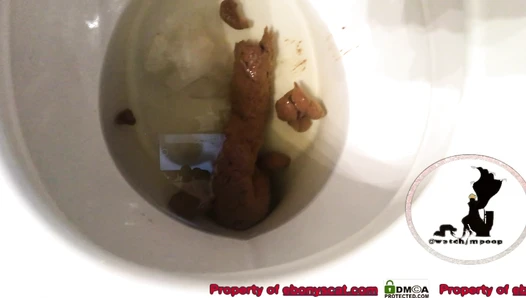 WatchMarleyPoop - Longest Poop ( 2 clips)