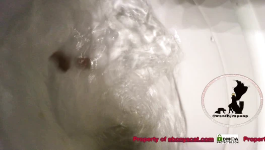 WatchMarleyPoop - Longest Poop ( 2 clips)