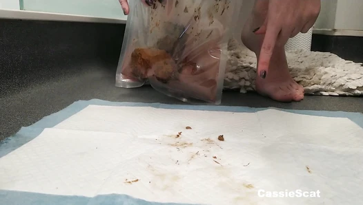 CassieScat - Thanksgiving Toilet Slavery Instructions, Skidded Panties