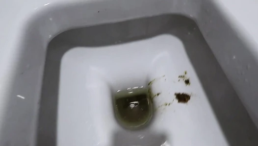 janet - Dirty Extreme Poop in Public WC