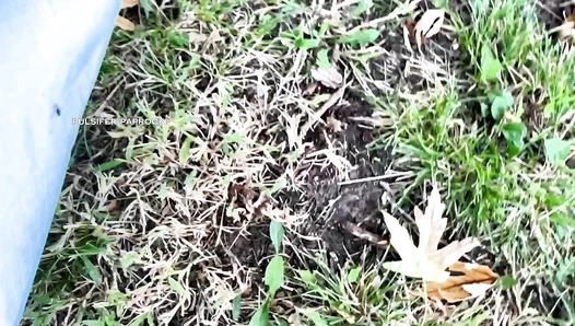 PulsiferPaprocki - Shop Vac Shit