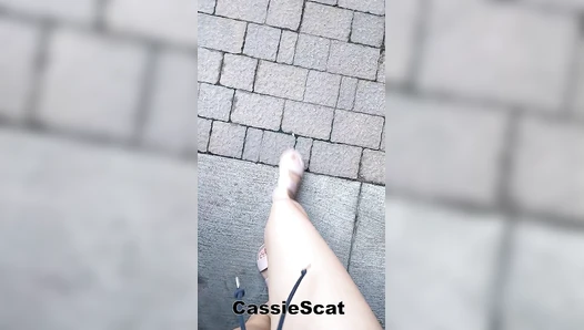 CassieScat - Using Public Toilet to Take a Shit