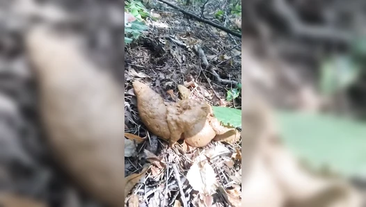 poogirla - poop in the park