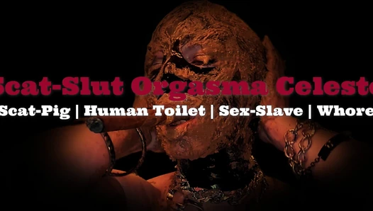 SlutOrgasma - Human toilet swallowing shit throat fucked