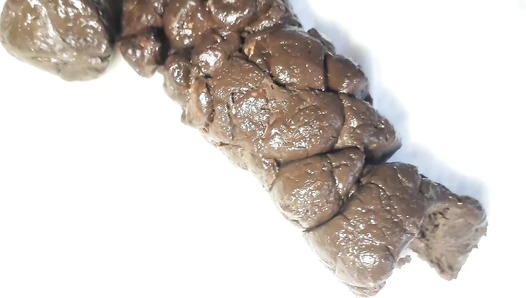 ElenaToilet - Dropping Thick Shit