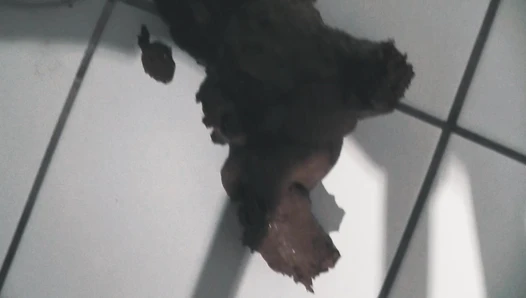 MiaRoxxx - 96. Big toilet turd!