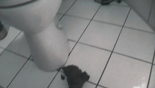 MiaRoxxx - 96. Big toilet turd!