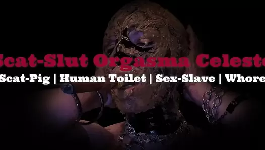 SlutOrgasma - Extreme play in a lot of saved shit