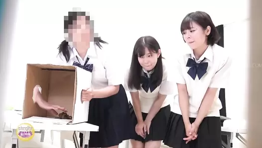 SL-540 01 Schoolgirls with bad manners pooping everywhere they want!
