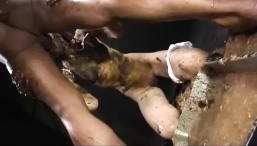 MONSTER HOTDOG served to shitlover slut