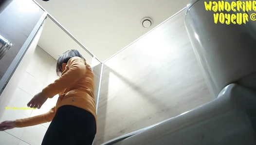 Mall Toilet WC 2023 (286K)