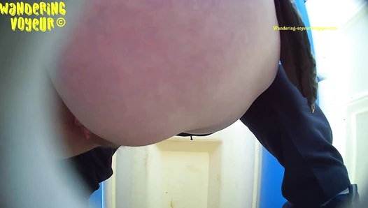 New Bio Toilet 2023 (007K)