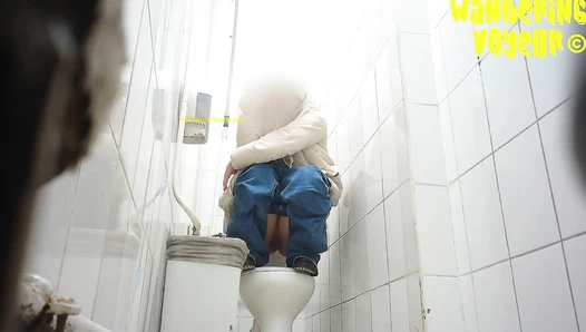 Shopping Centre Toilet 2022 (212K), Amateur Collection, 