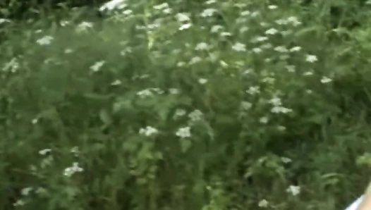 Sperrgebiet Erotik 38