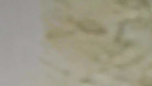 Cat Eyes Original - Beauty peeing