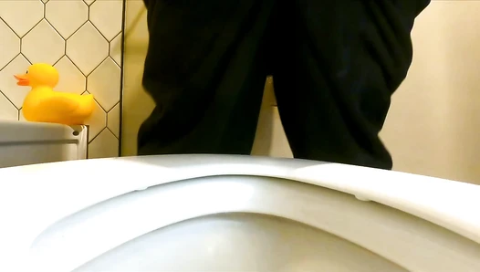 gassy - 4 shits