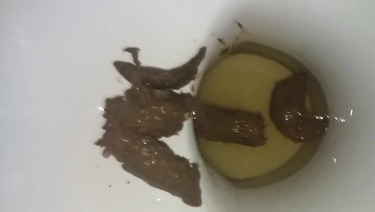 ElenaToilet - Adelina Toilet