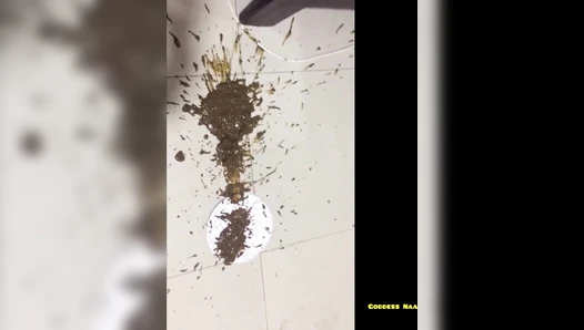 GoddessNaa - Goddess Naa : Bubbly sharts explosion