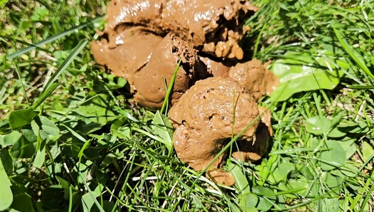 Nerdy Faery - Poop and Pee Fountain in my Garden
