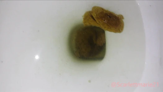 scatlover72 - Pooping In the Political Science Building On Campus!