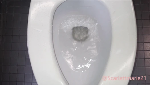 scatlover72 - Pooping In the Political Science Building On Campus!